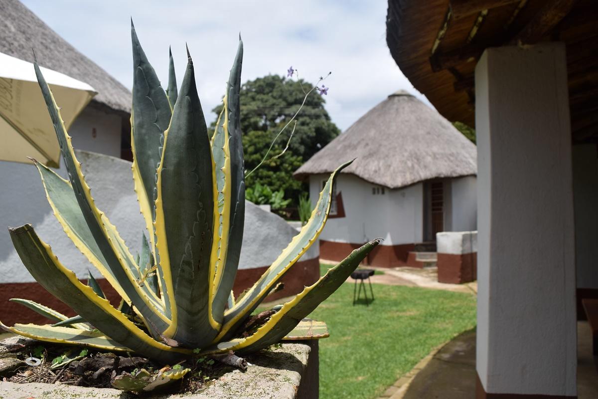 Sheri'S Lodge & Backpackers Graskop Extérieur photo